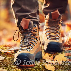 Wir gehen zum Wandern!