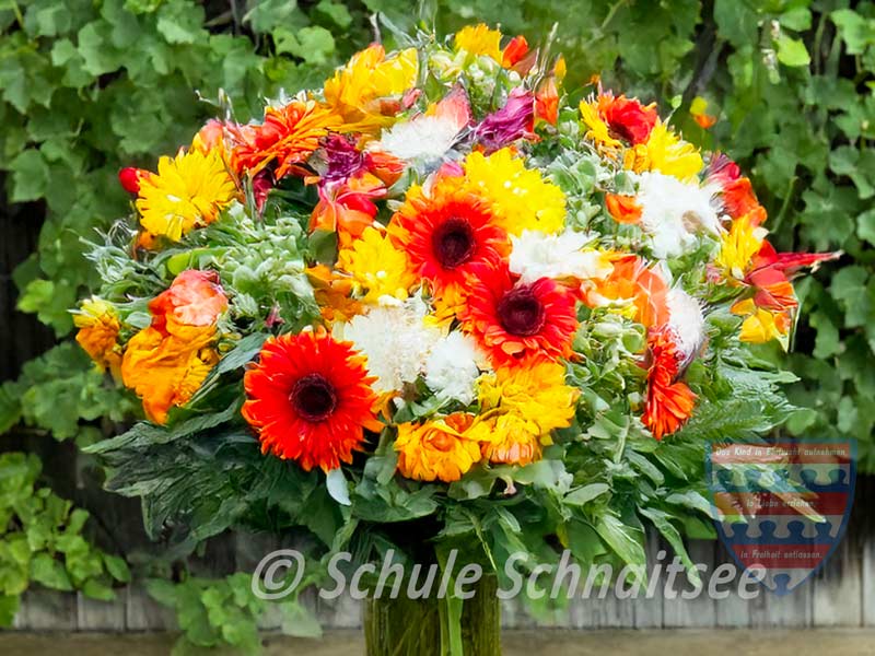 Herzlichen Glückwunsch